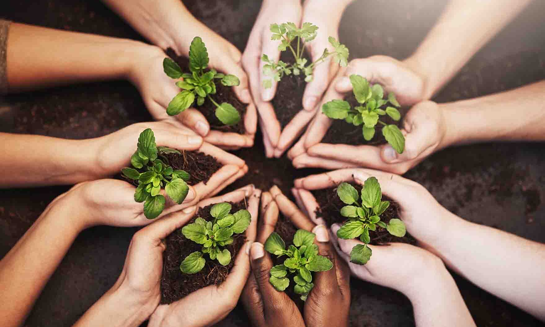 A circle of hands gently cradling various plants, representing collaboration and a shared commitment to nature.